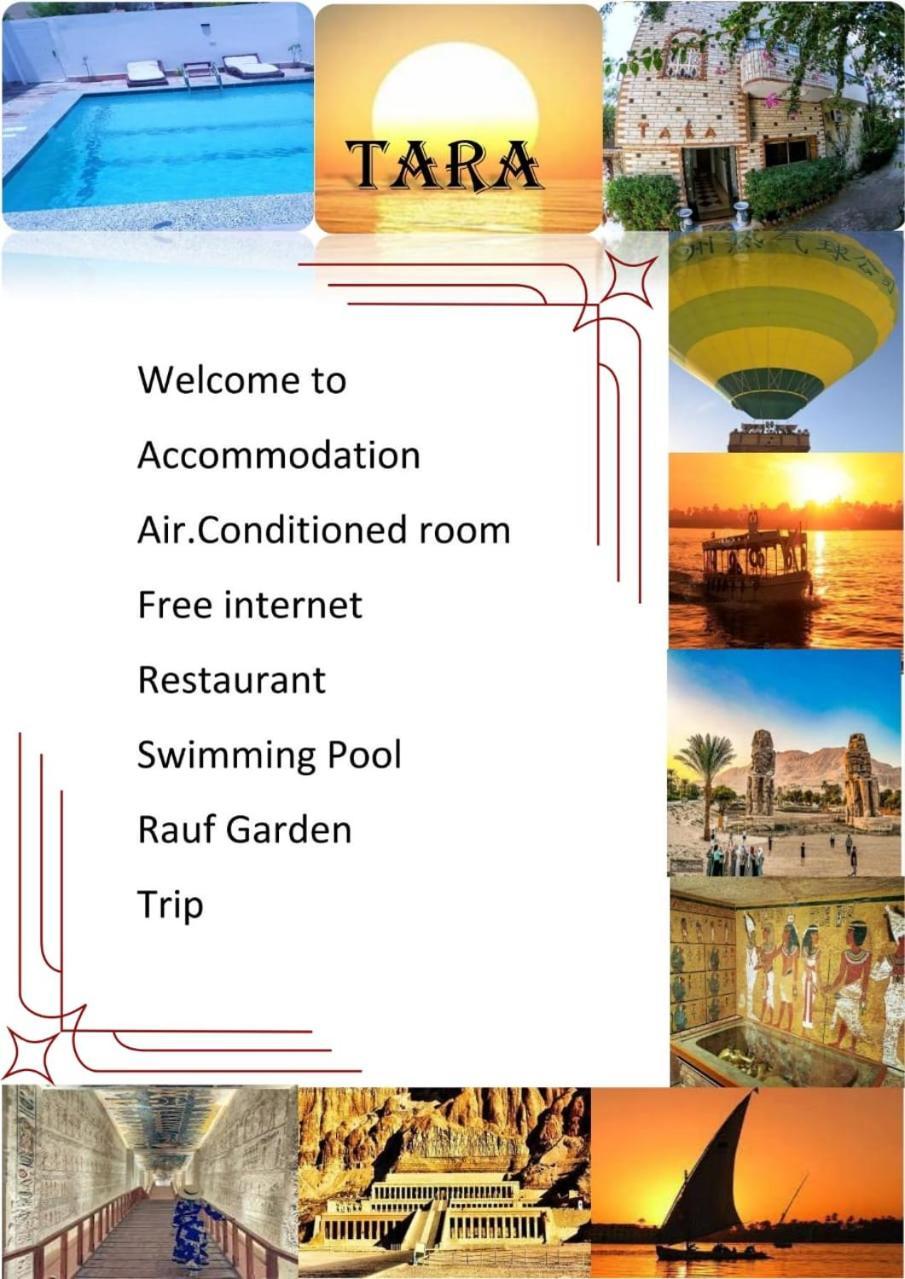 Tara Apartments Луксор Екстериор снимка